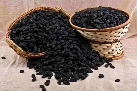 تصویر 2 از قیمت خرید زرشک سیاه آبگیری + فروش ویژه